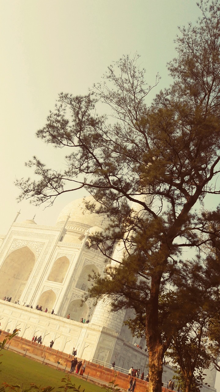 hidden Taj...