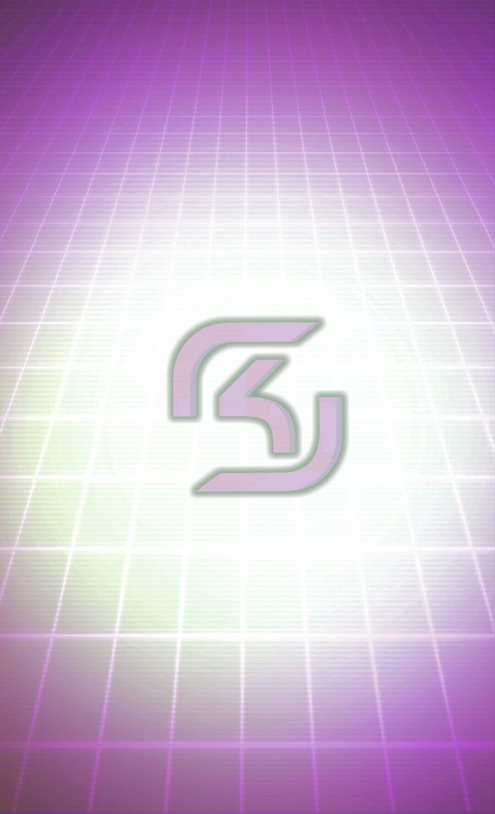 SK Gaming