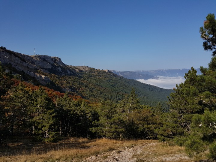 Crimea