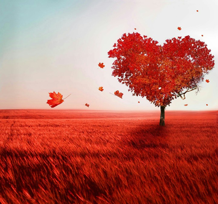 love