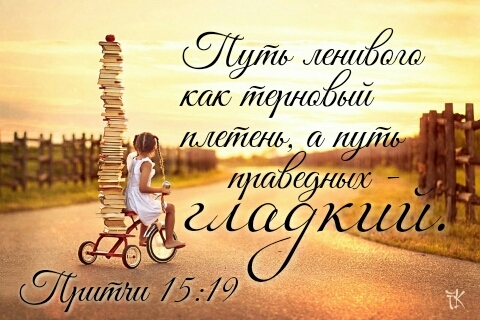 the way of wisdom