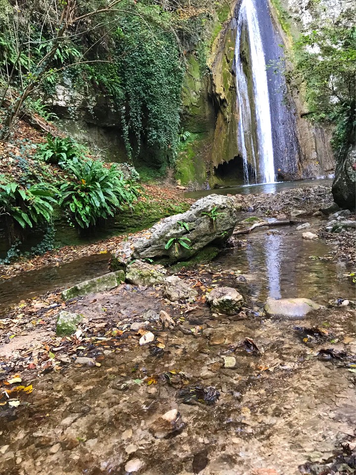 bellezza naturale