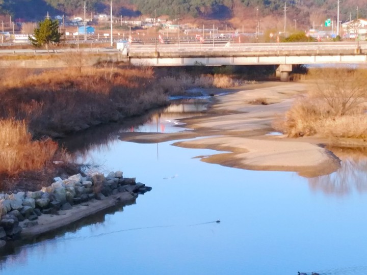 강
