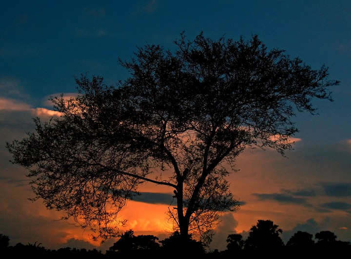 The colour of sunset