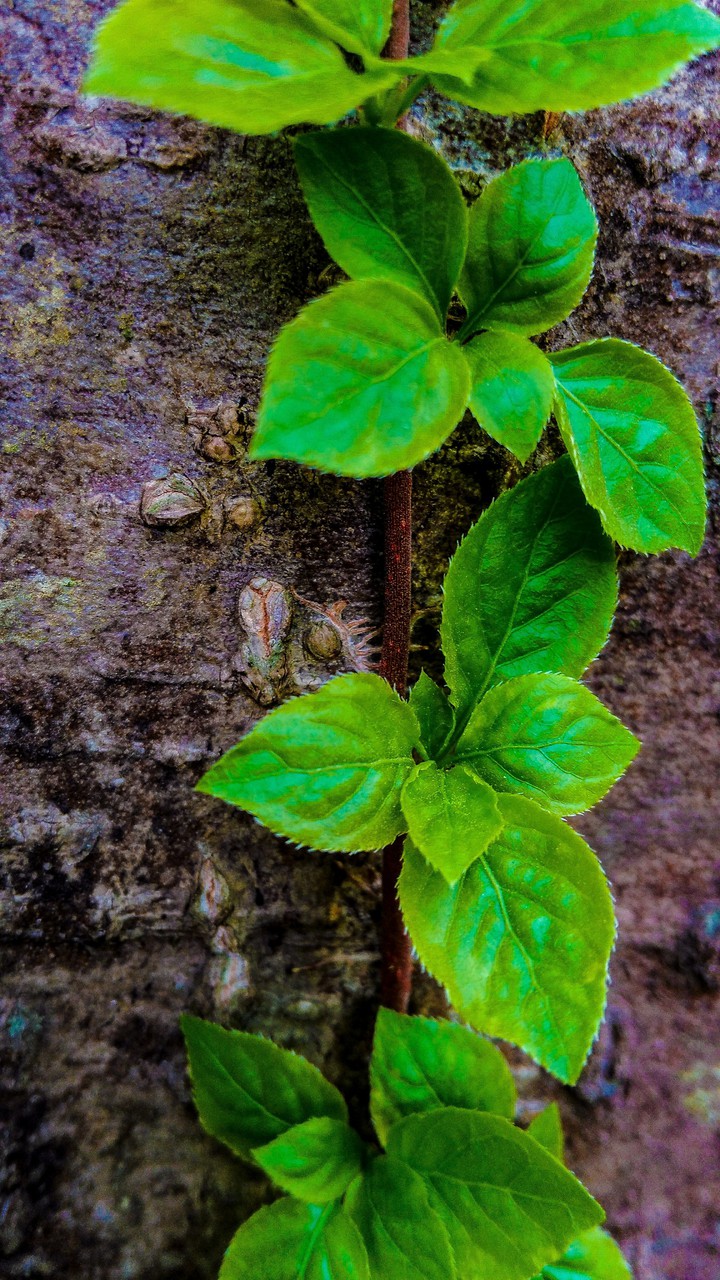 up