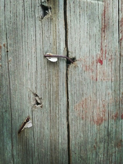 wood