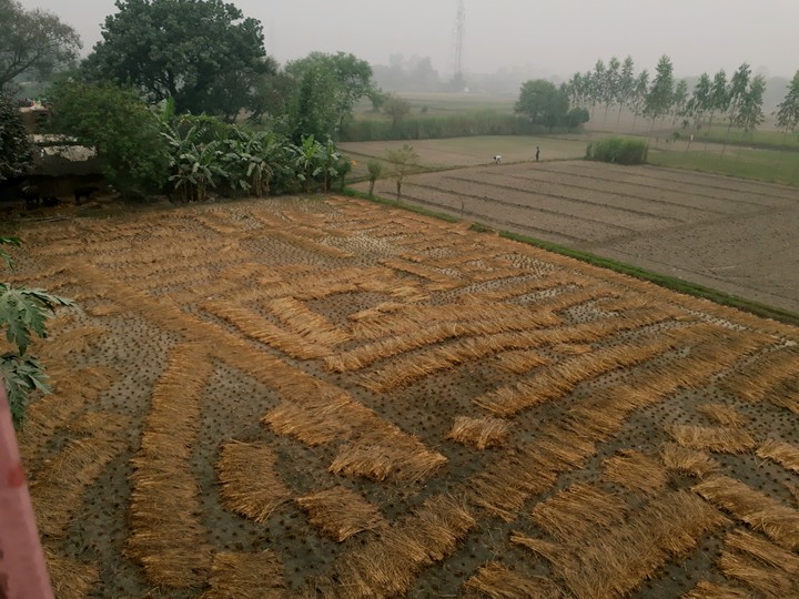 A village morning... 