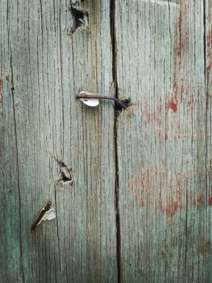wood