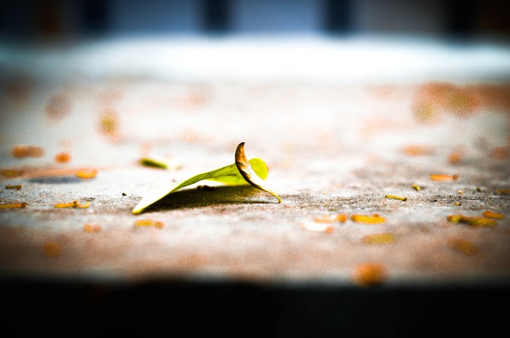 nature