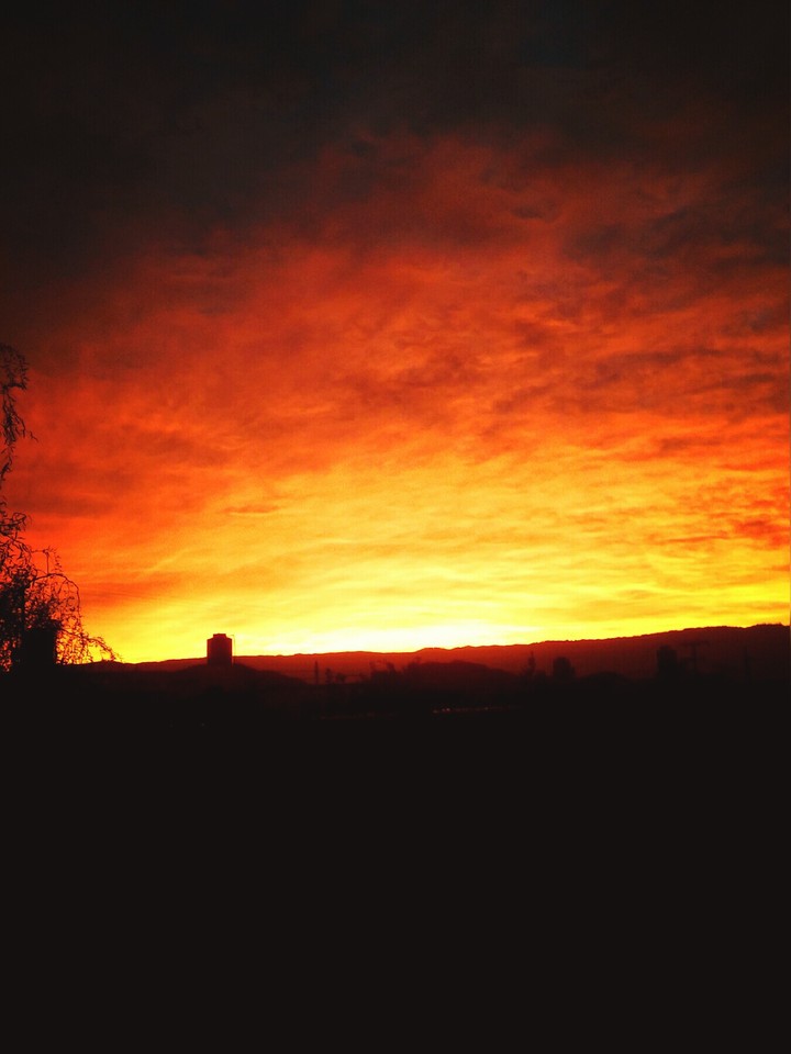 7:51 am