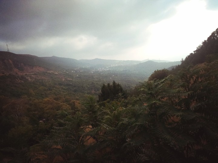 Nature