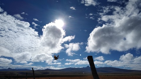 vuelo por la mañana