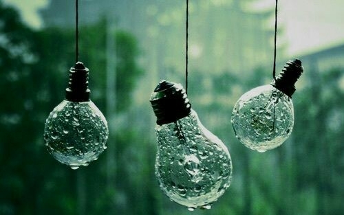 Rain Bulbs 