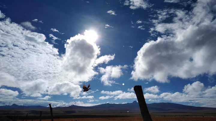 vuelo por la mañana