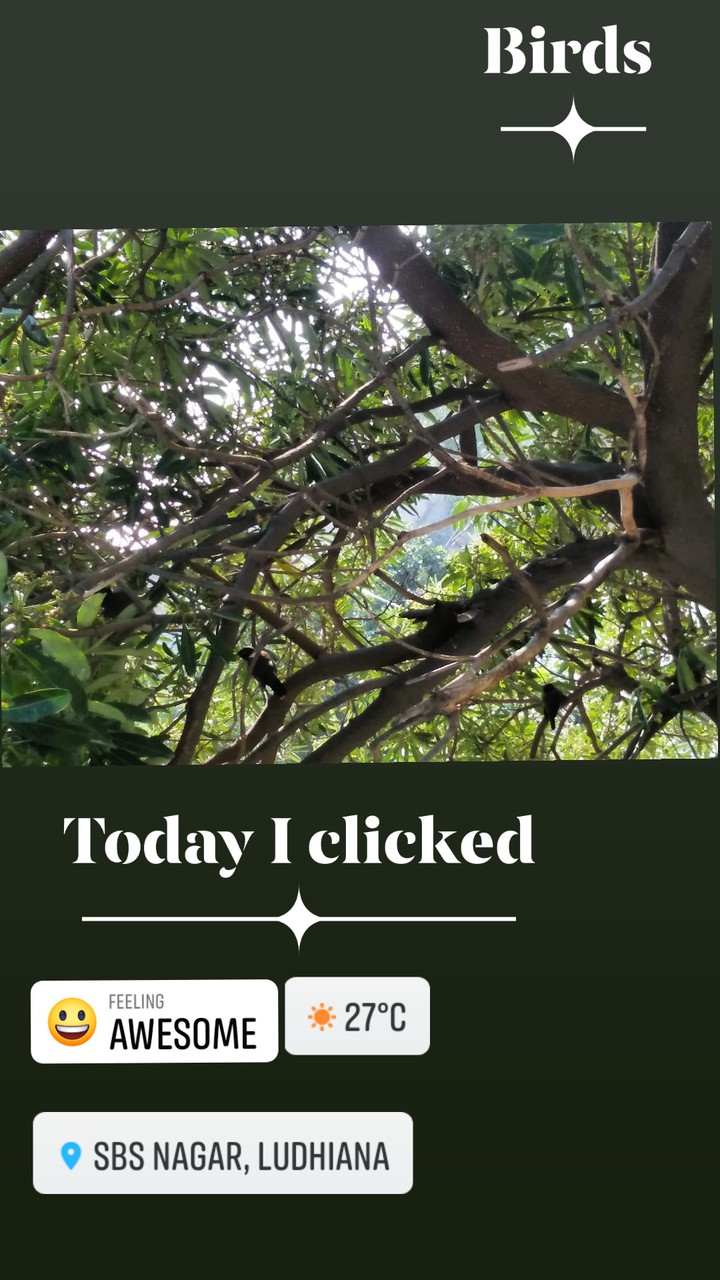 nature