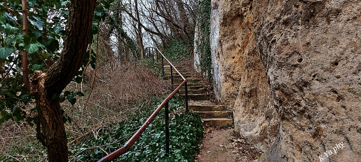 Природа