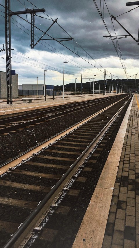LIFE TRAIN