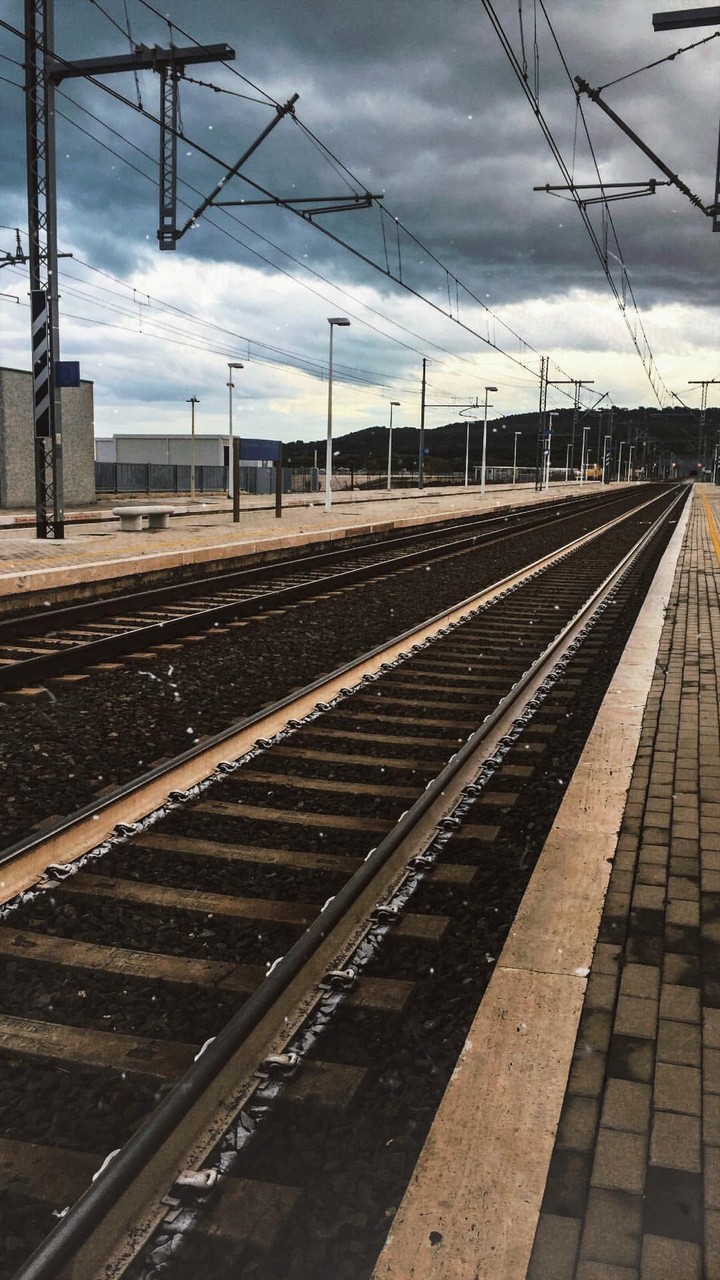 LIFE TRAIN
