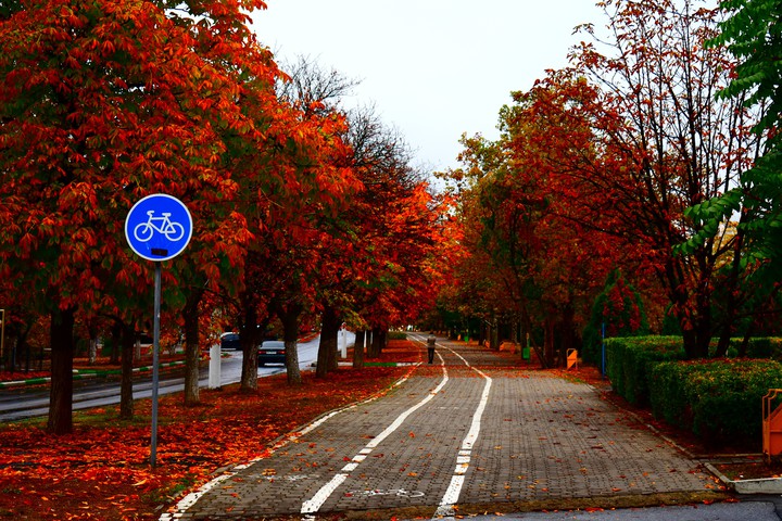 Falk town