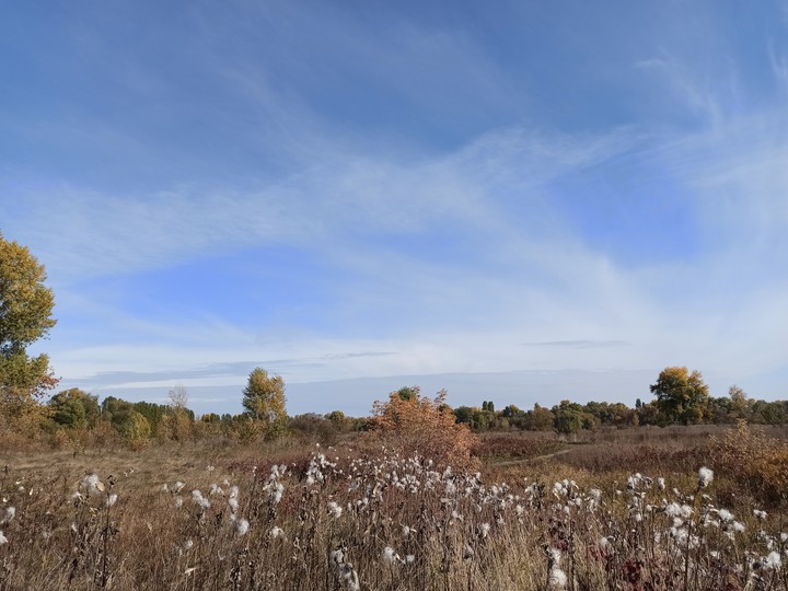 autumn