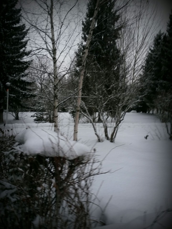 Winter.