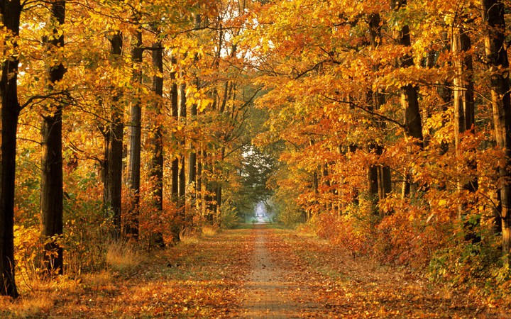 back roads in Ohio