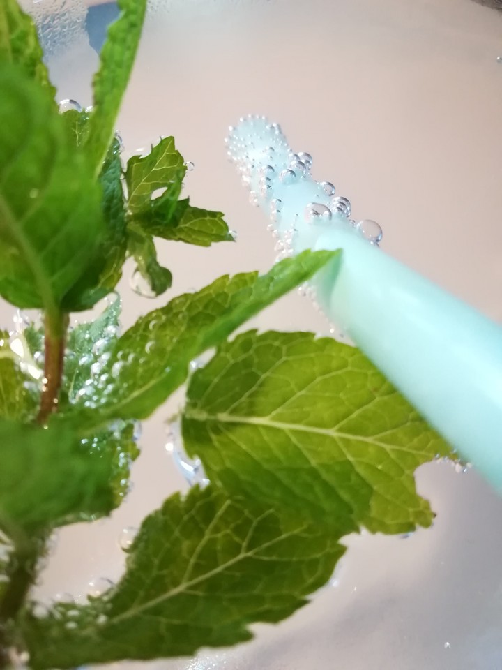 Home made mojito