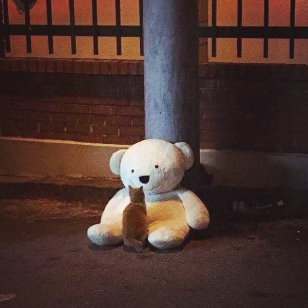 sad story