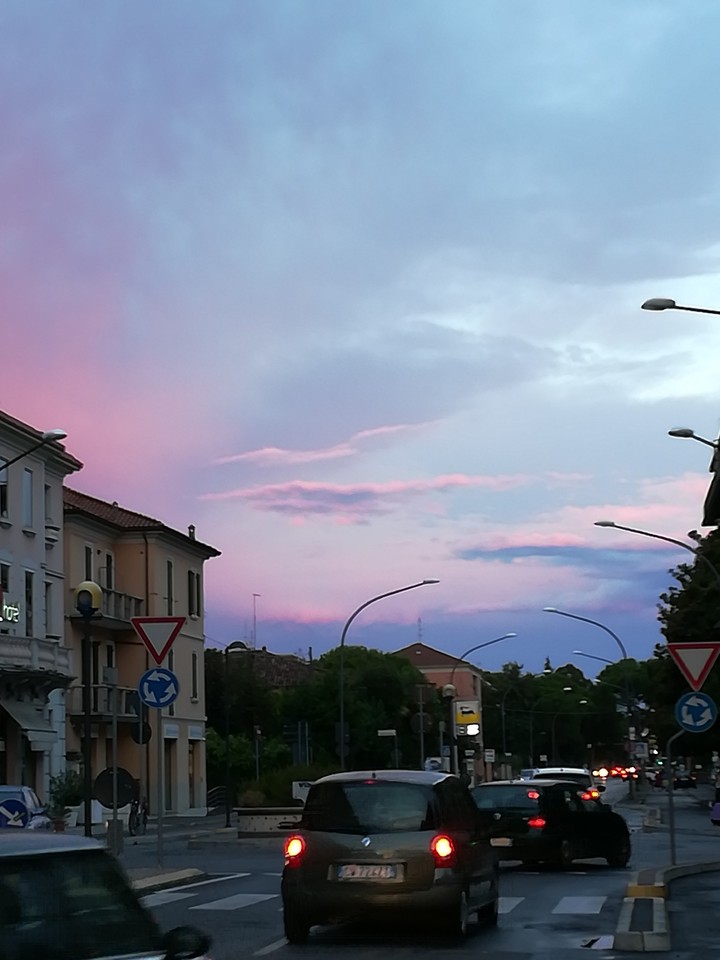 rosa dopo la tempesta