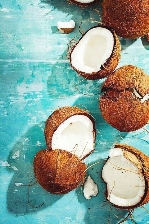 coconuts