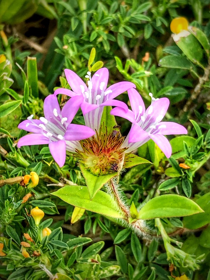 Nature