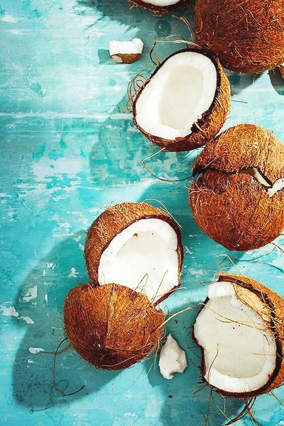 coconuts