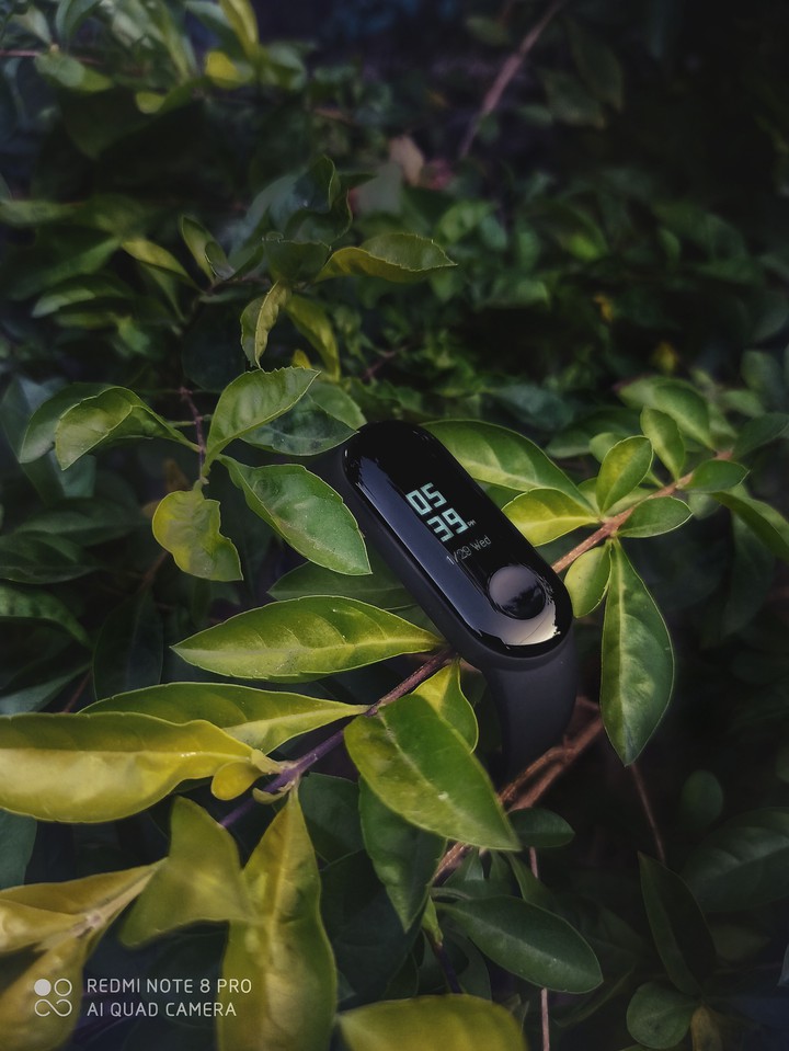 smartwatch for smart human