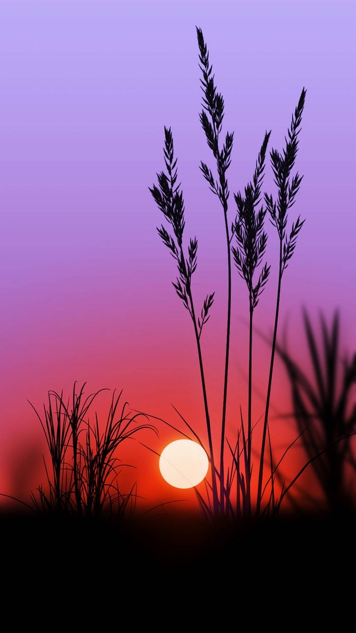 Sundown