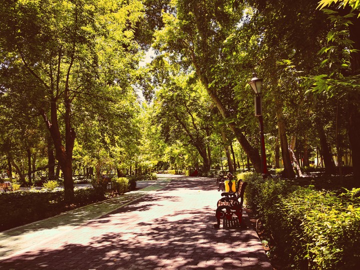 park