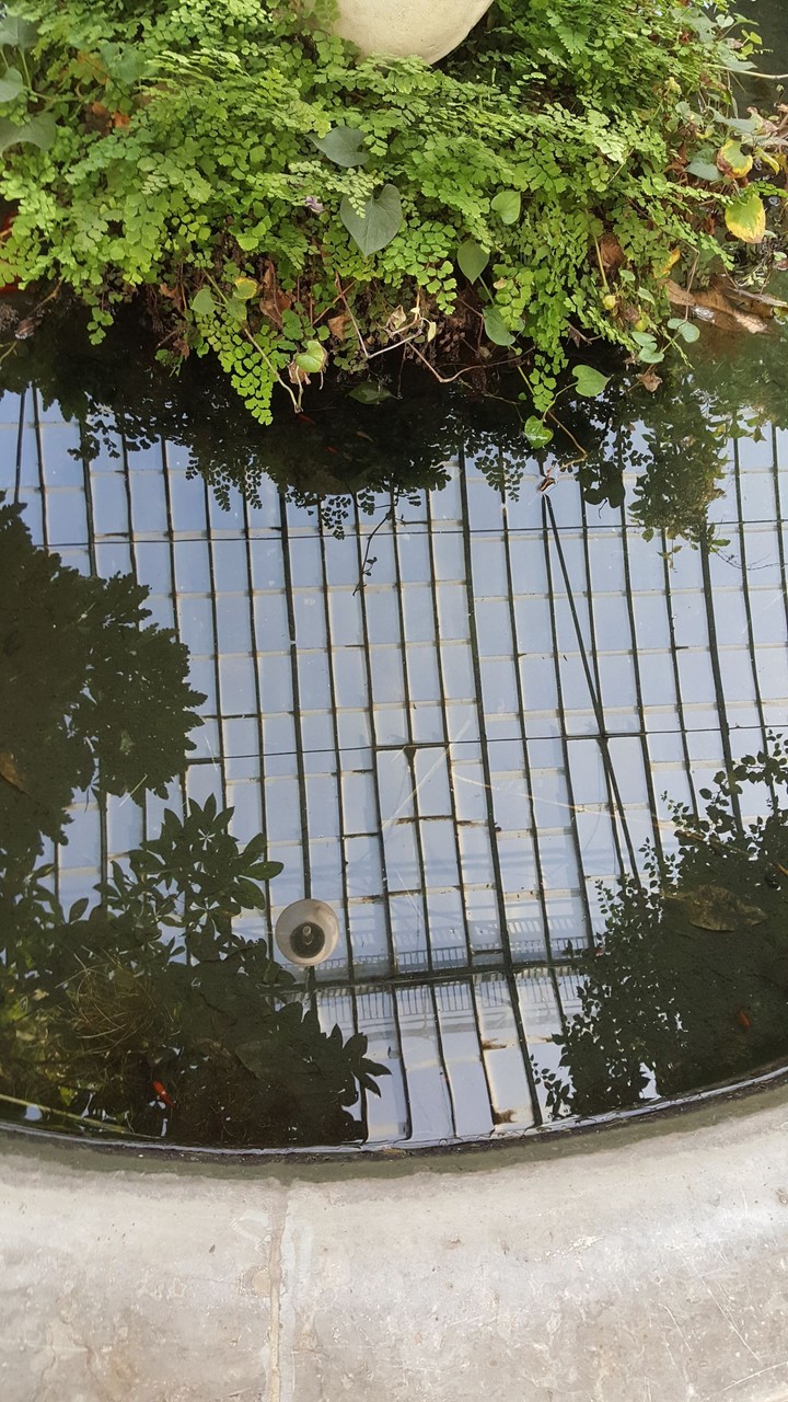 Reflection