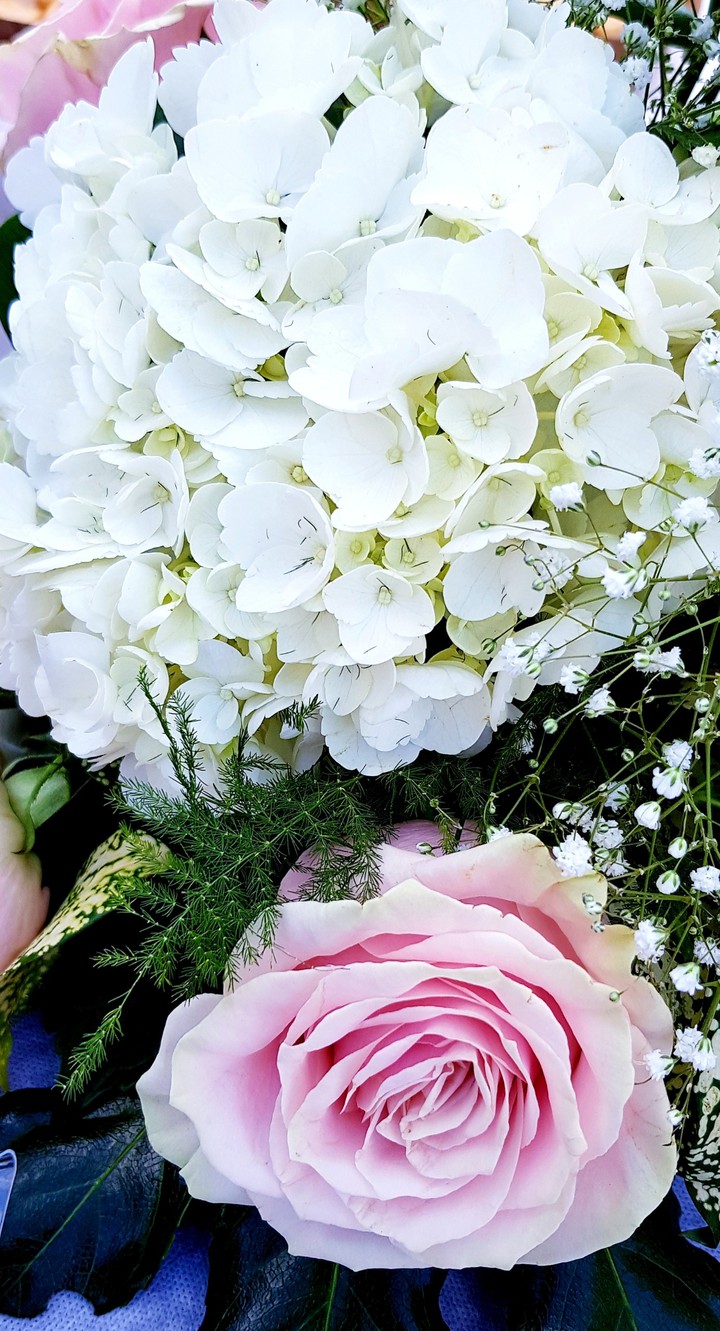 White flowers and a rose