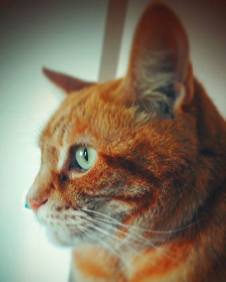 look out there