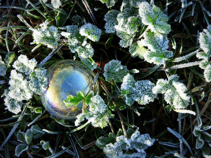 Marble on frozen leaves.