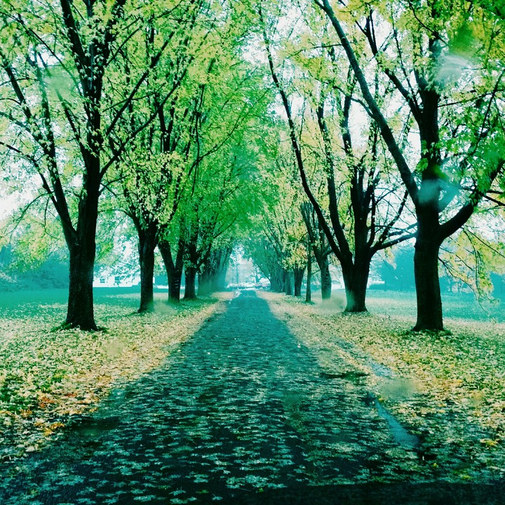 My way home ! 