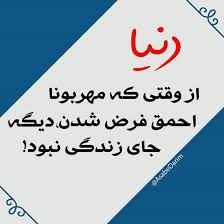 ناموسا دیگه جایی واسه زندگی نبود.....