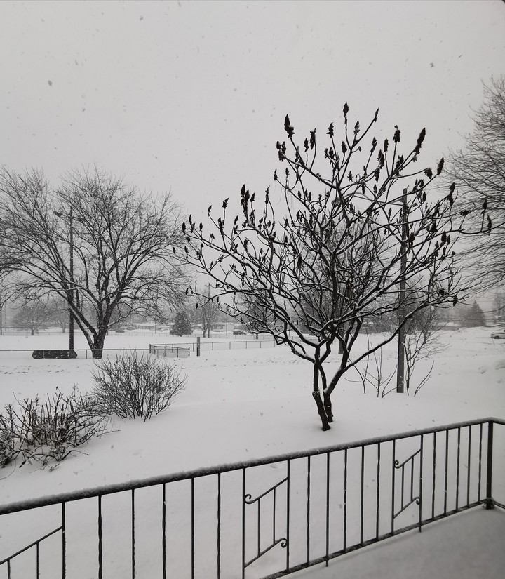 Neige love