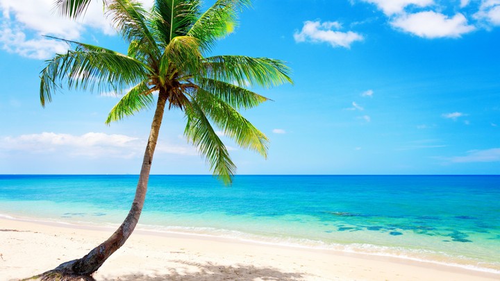 Tropical