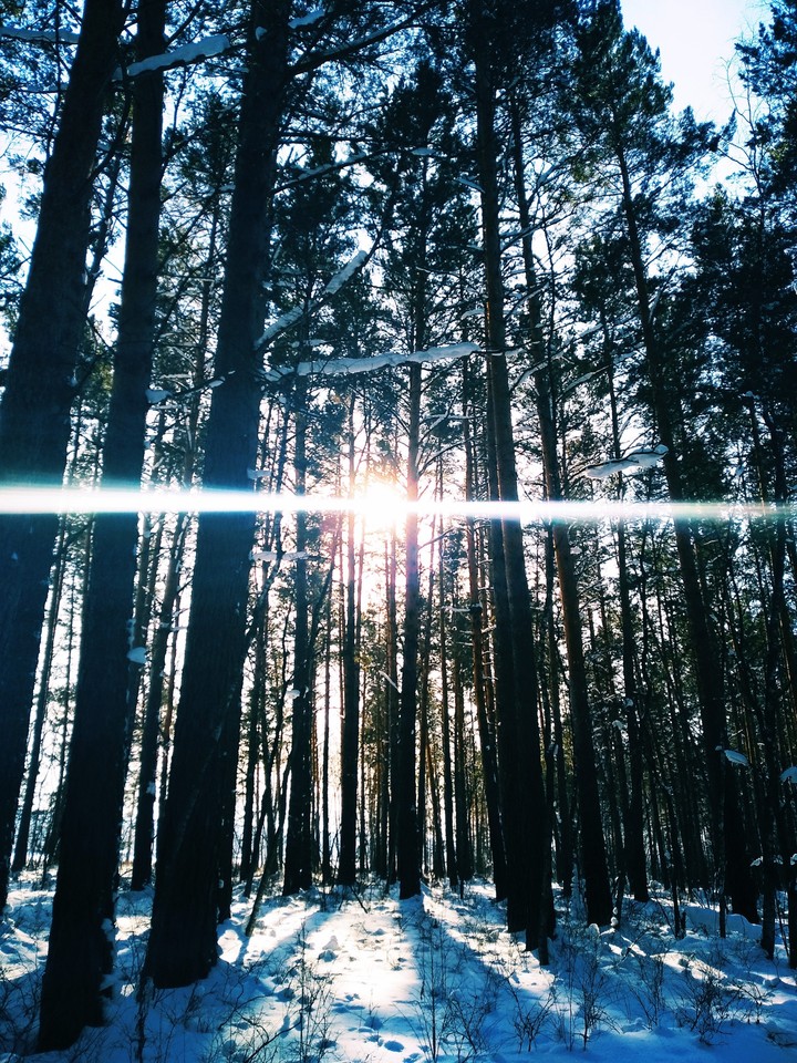❄️