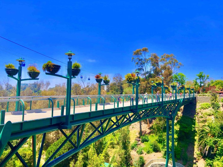 El puente