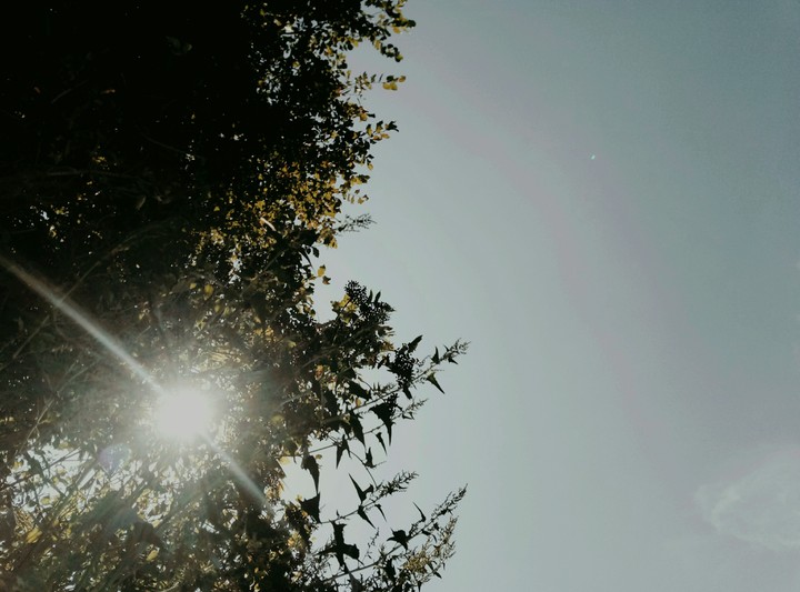 ✨✨