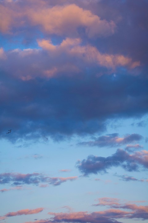 flying