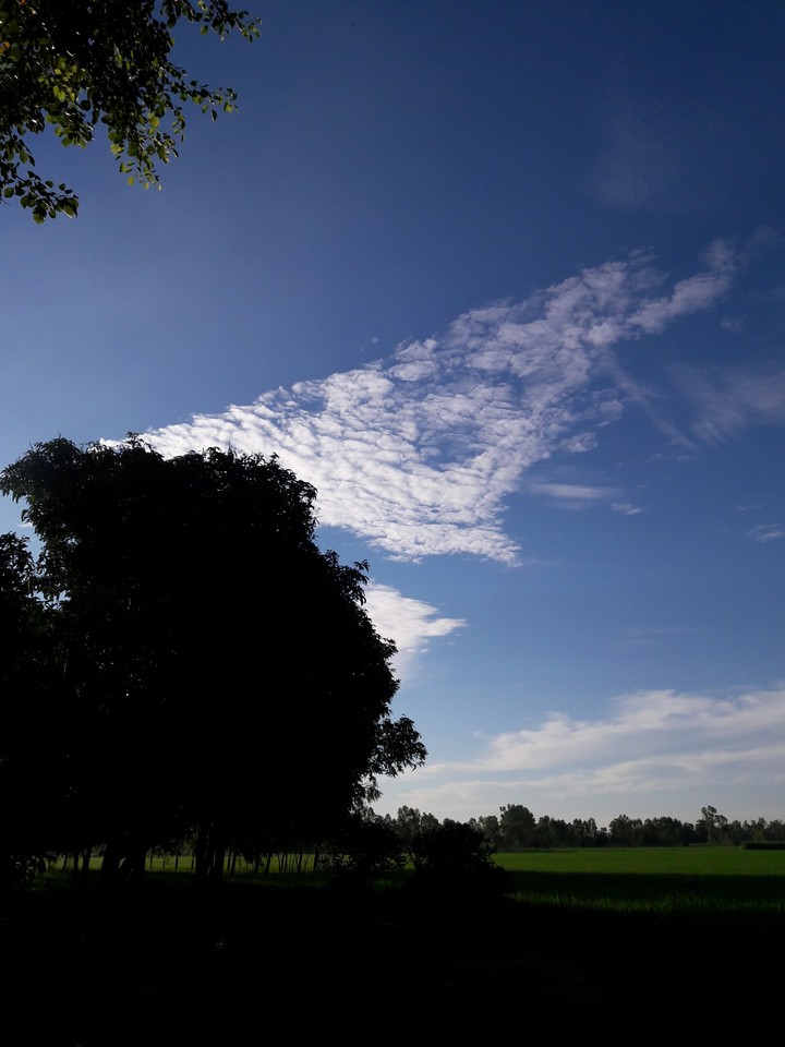 cloud