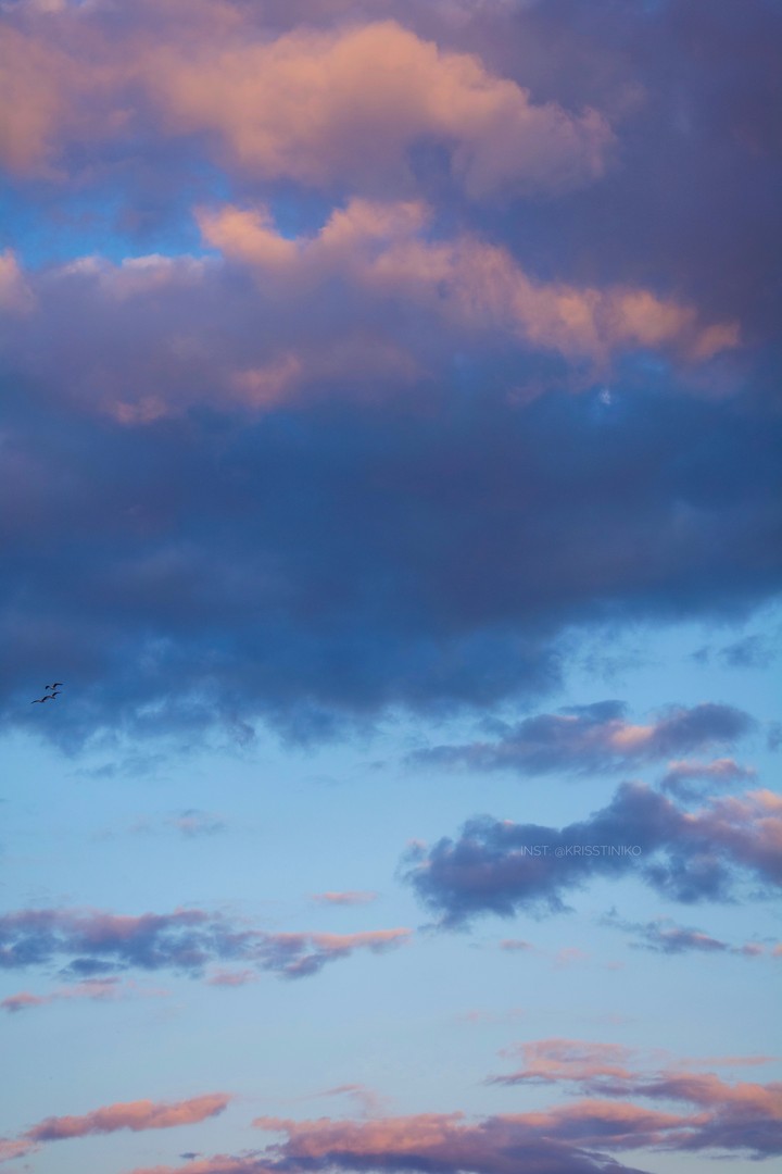 flying