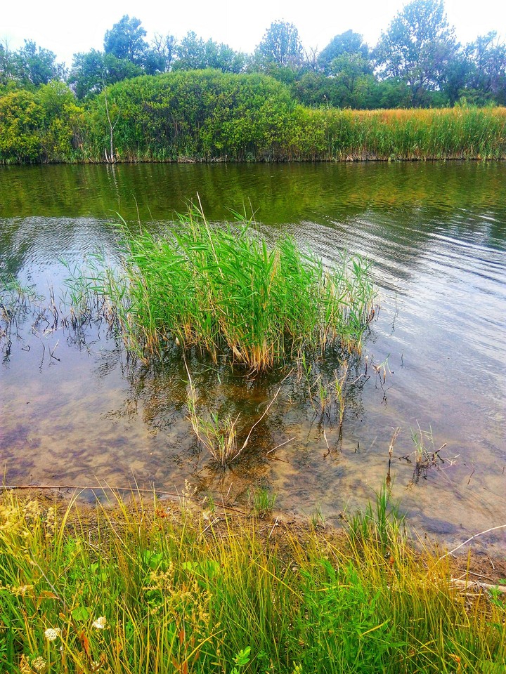 river